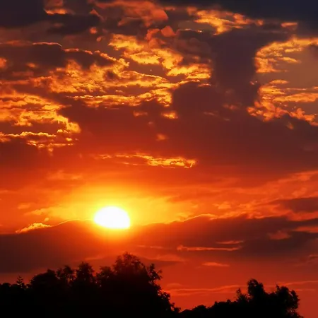 Rum i privatbostad Casa Lotus *