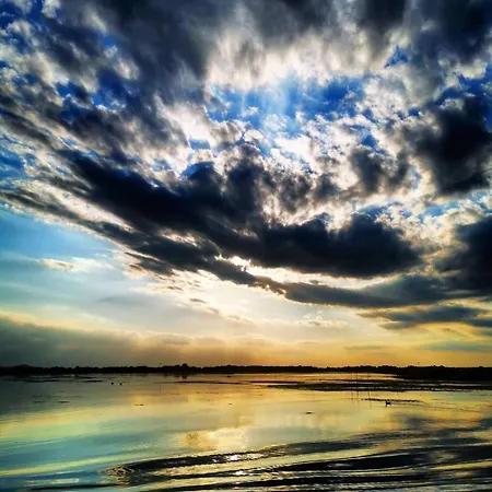 Casa Lotus Homestay Sfantu Gheorghe (Tulcea)