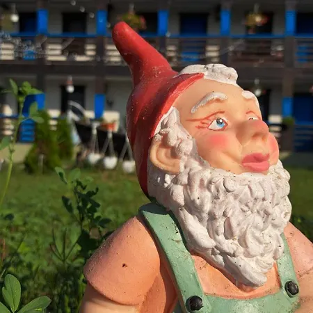 Casa Lotus Rum i privatbostad Sfântu Gheorghe