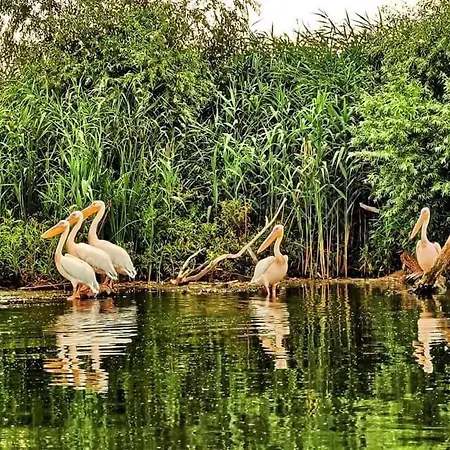 Casa Lotus 홈스테이 *