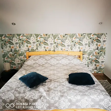 Casa Lotus Habitación en casa particular Sfântu Gheorghe