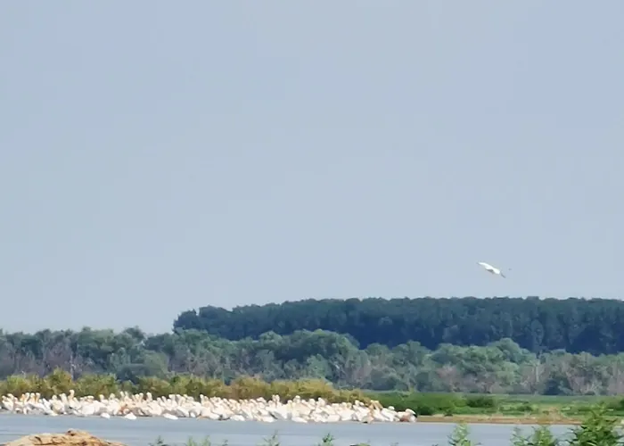 홈스테이 Casa Lotus *