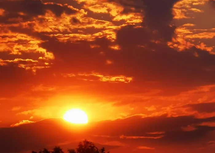 홈스테이 Casa Lotus *