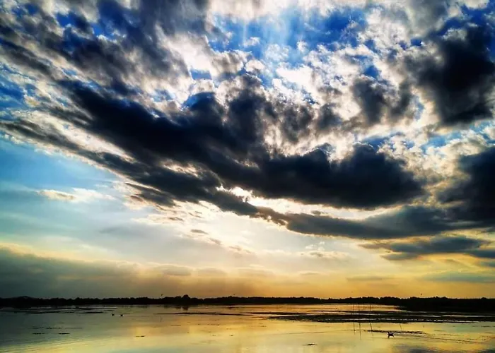 Casa Lotus 홈스테이 스픈투 게오르게