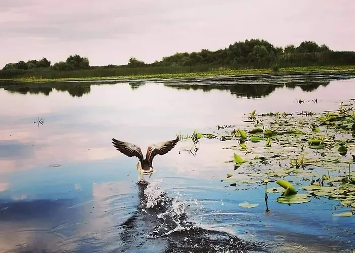 Casa Lotus 홈스테이 스픈투 게오르게