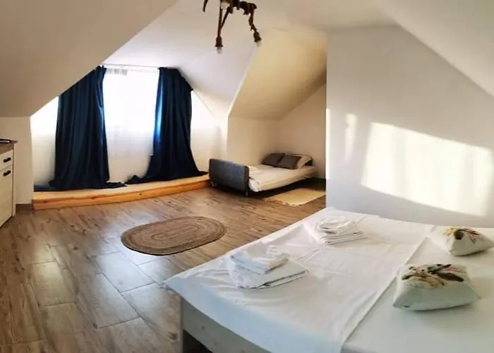 홈스테이 Casa Lotus *