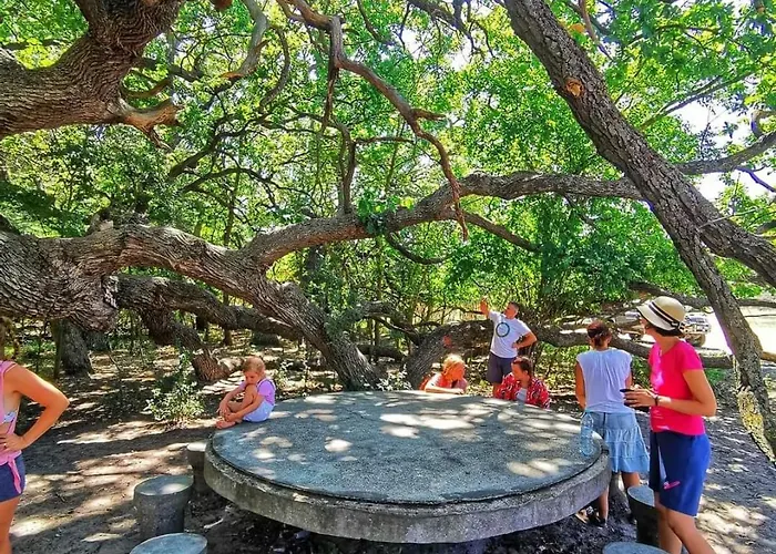 홈스테이 Casa Lotus