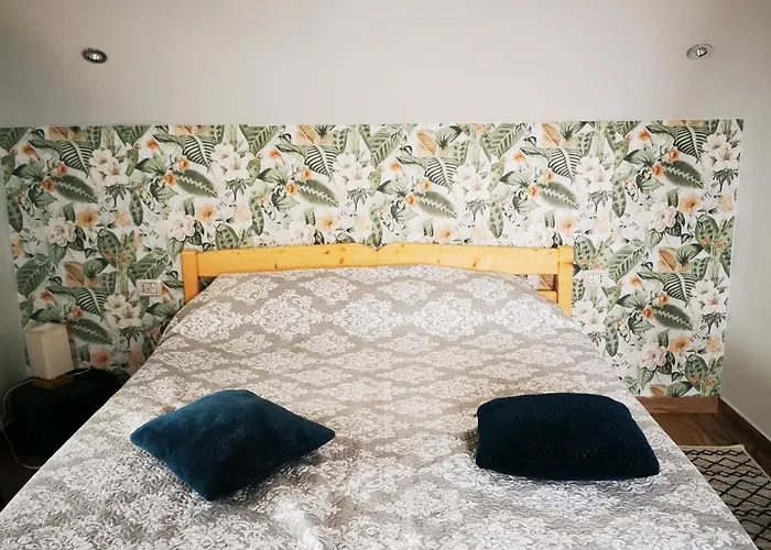 Casa Lotus 홈스테이 스픈투 게오르게