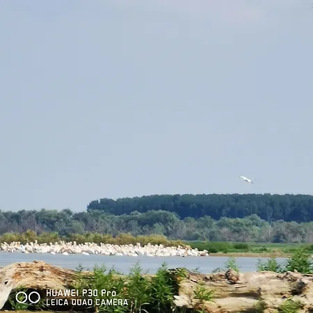 ホームステイ Casa Lotus *