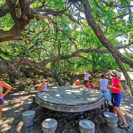 ホームステイ Casa Lotus